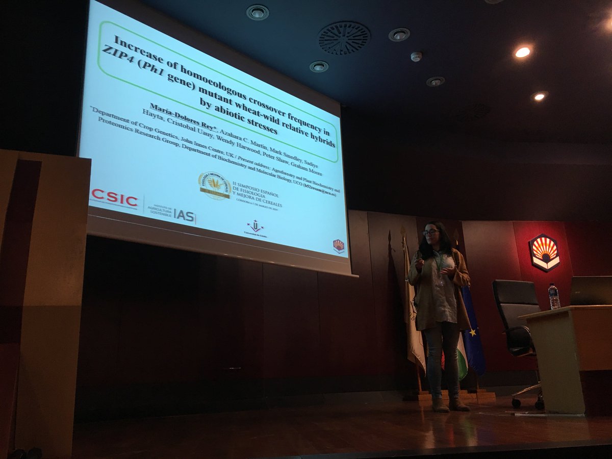 María Dolores Rey from <a href="/Univcordoba/">Universidad Córdoba</a>: Increase of homoeologous crossover frequency in ZIP4 (Ph1 gene) mutant wheat-wild relative hybrids by abiotic stresses. #SEFIMEC2019
