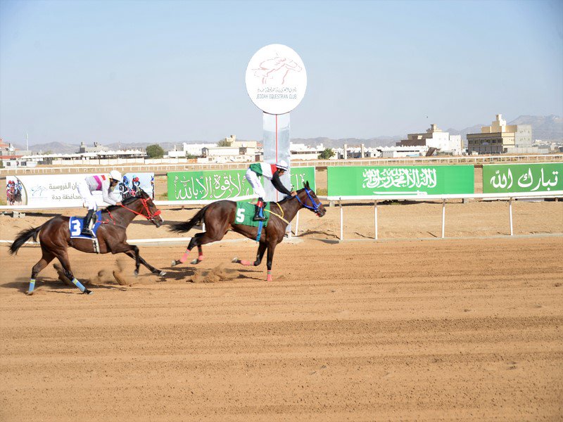 نتيجة الشوط الثاني على دعم وكأس شركة المنتزهه
#جدة #مدينة_جدة #فروسية #فروسية_جدة #ميادين #ميدان #رياضة