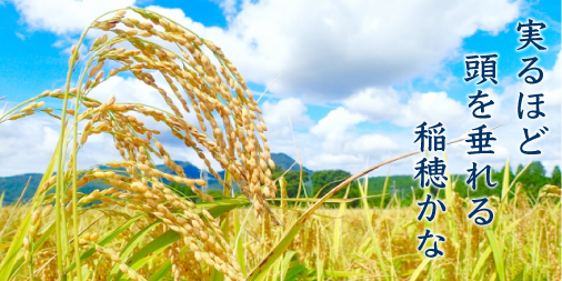 ノートさん Twitter Da ことわざ 実るほど頭を垂れる稲穂かな 読み みのるほど こうべをたれる いなほかな 意味 立派に成熟した人格者ほど謙虚で低姿勢である