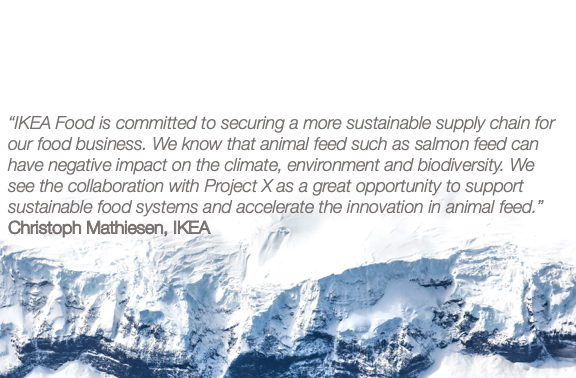 ProjectXGlobal's tweet photo. An insights from one of our key partners @IKEA about #FEEDX. Thanks for your support! #feedingthefuture #climateaction #sustainabilty https://t.co/xBunPVLvV0