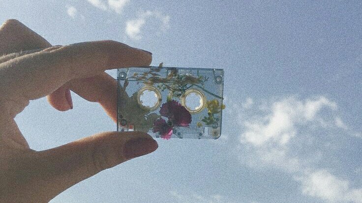 guk ϟ gyu tweet media