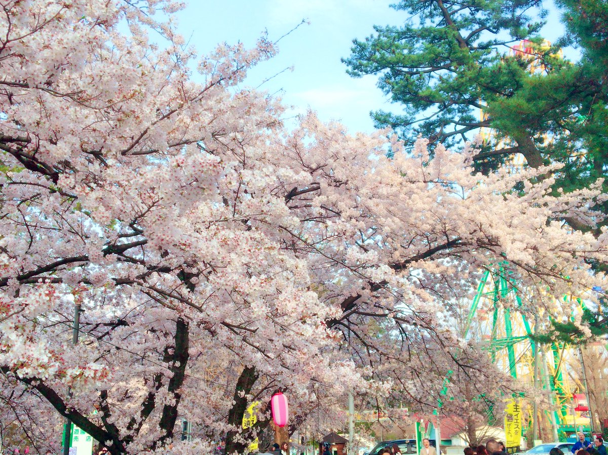 t_seadoo's tweet photo. もう少しで桜の時期😩
見に行きたいな。 https://t.co/TWtC4Nv210