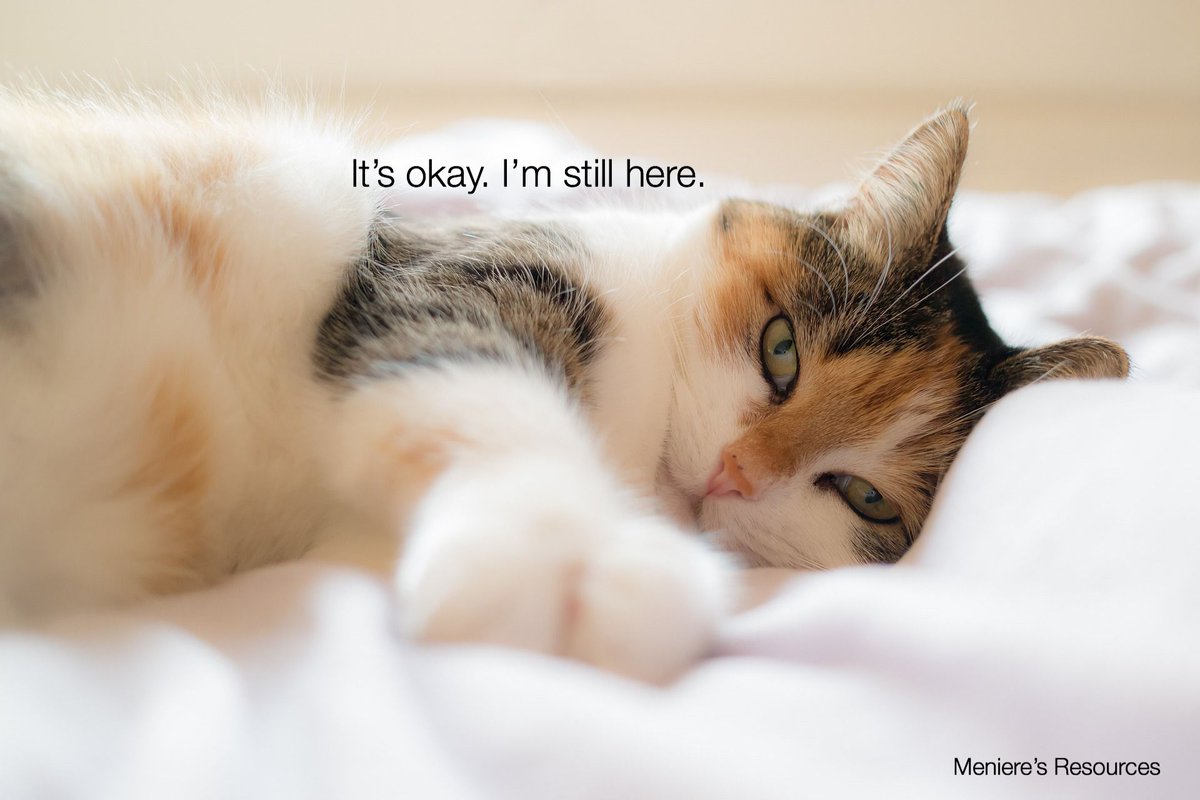 MenieresResourc's tweet photo. #chronicillness #vestibular #MentalHealthAwareness #recovery
#balance
#tinnitus #vertigo #hearingimpaired #earpressure #raisingawareness #invisibleillness #sensory #overload #menieresdiseaseawareness #menieres #menieresdiseaseawareness #chronicillness #supportgroup https://t.co/0yM6me4xwS