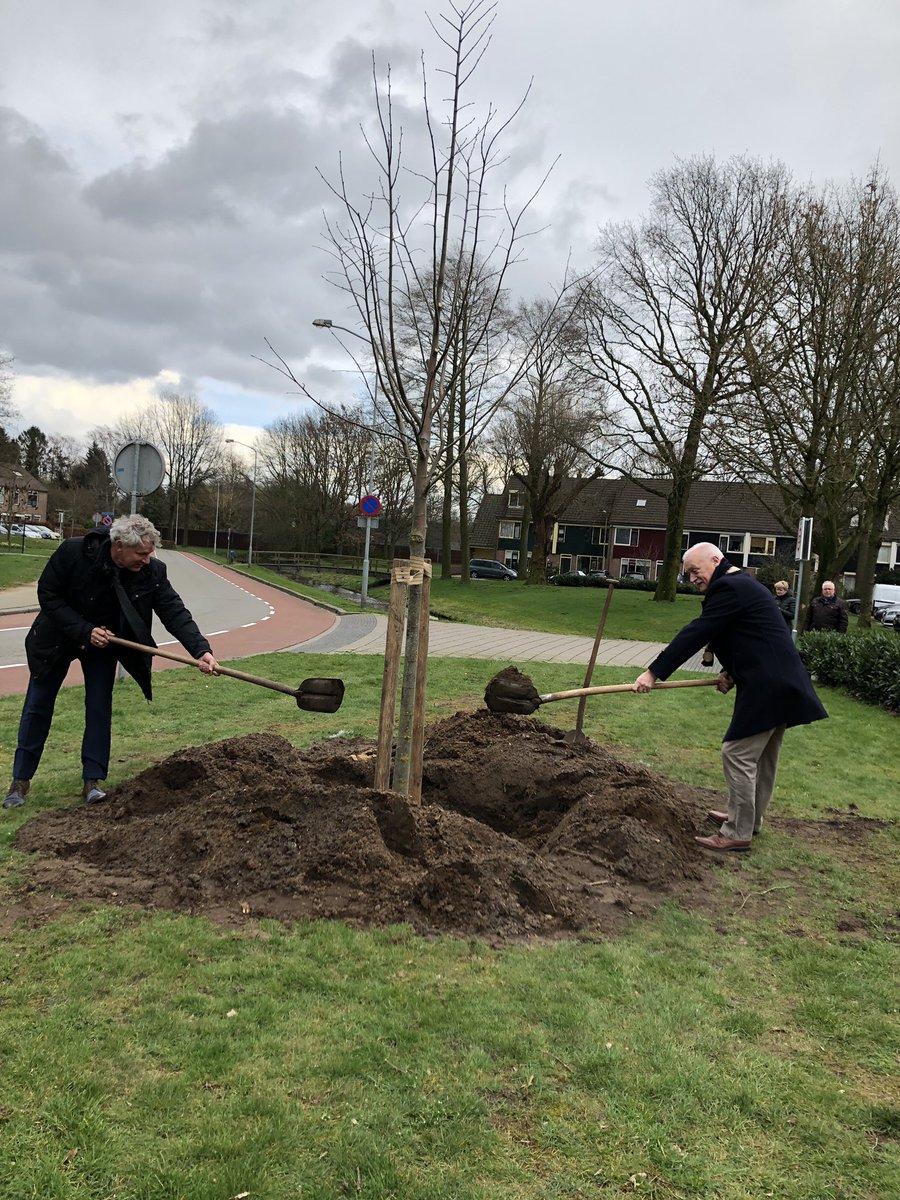Food Valley is heel erg trots op onze 100jr WUR die goed verworteld wil zijn in de regio. Daarom een prachtige zilverlinde geplant met Simon Vink om te bloeien, te groeien en vrucht te dragen.<a href="/simonvink/">simon vink</a> <a href="/WUR/">Wageningen U&R</a> <a href="/LouiseOFresco/">Louise O. Fresco</a>