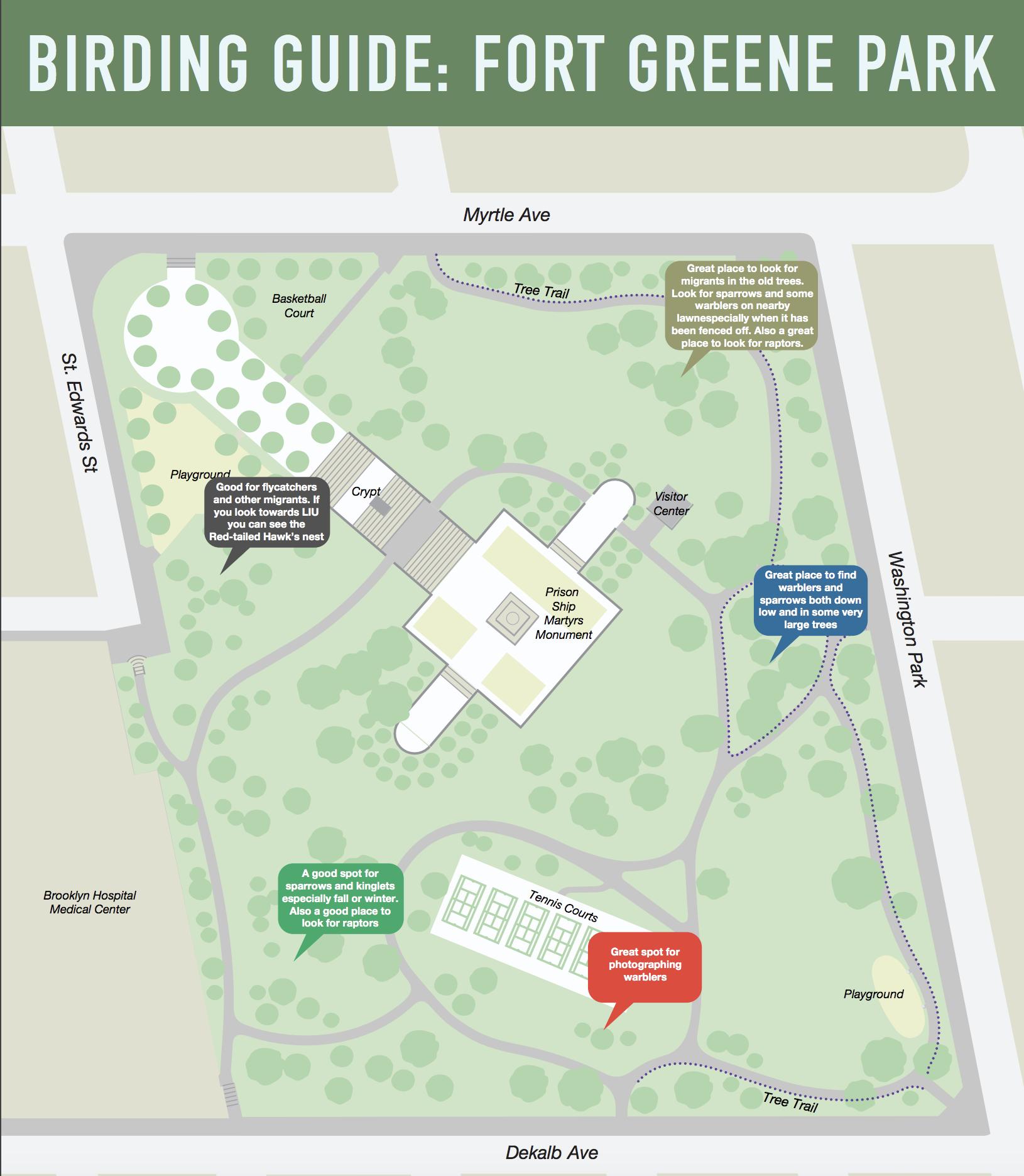 Fort Greene Park Map توییتر \ Fort Greene Park در توییتر: «From Our Friends At The Brooklyn Bird  Club's Clapper Rail, A Map Of Good Birding Sites In Fort Greene Park.  Spring Migration Starts In Late