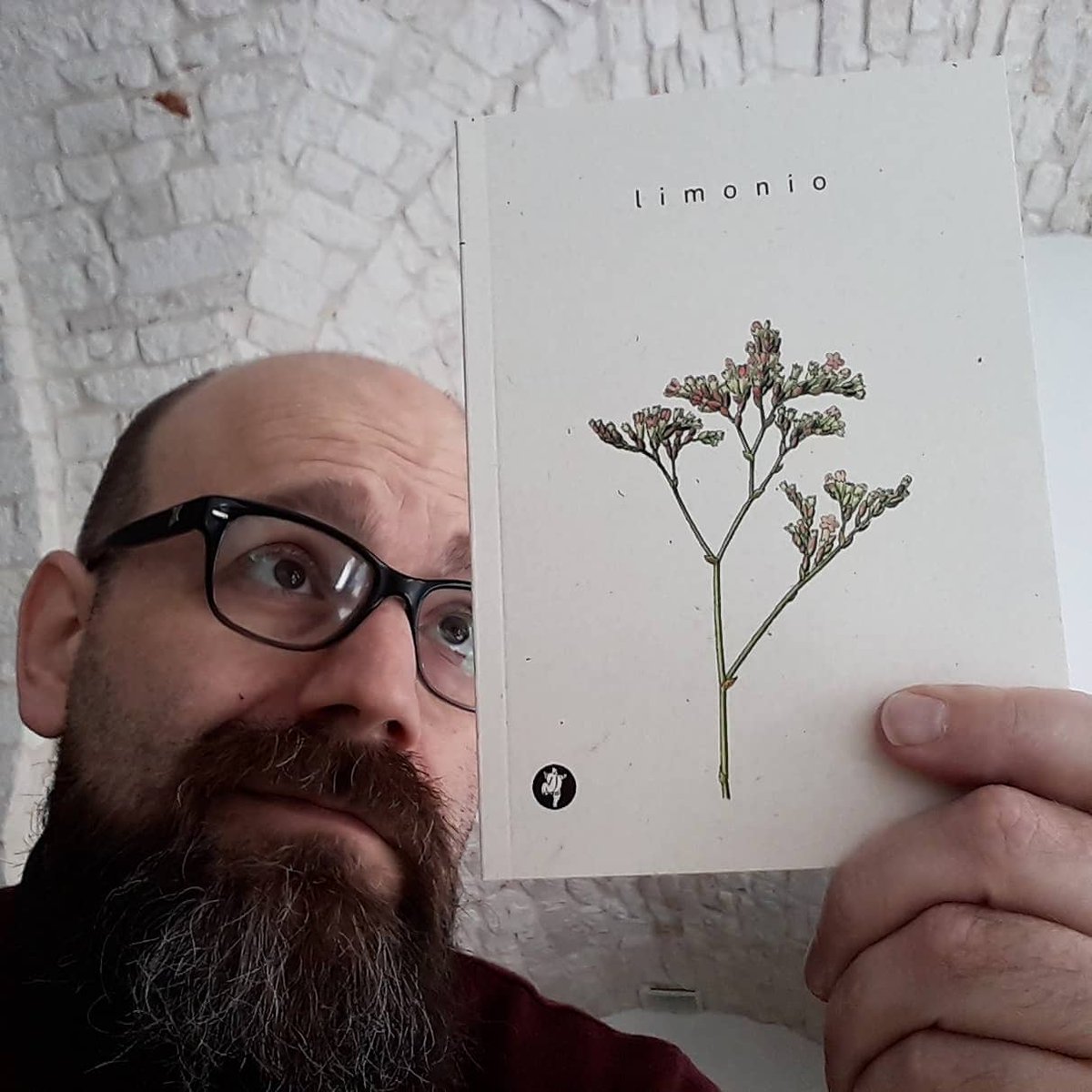 PietreVive's tweet photo. Nelle belle giornate di sole
il mio gatto apprestato al balcone
non s’interroga più sul mio amore.
Non rompe, si gode il sole.
Mi lascia, dentro, da solo 
alla mia disperazione d’autore.
   
Limonio, di @TonioLillo 
#pietreviveeditore #voceallapoesia

https://t.co/AYiBJiY7ws https://t.co/4hrqQNi2Tc