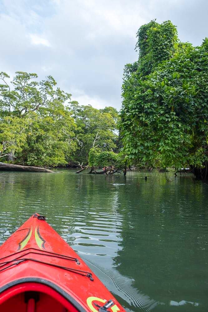 BuenosViajesAL's tweet photo. Libres comme sur un kayak 🛶

Des tonnes de rivières pratiquables et sauvages au VANUATU 👌
> https://t.co/yaXbsV1F4T

#VanuatuEcotours #DiscoverVanuatu https://t.co/zCFhOnGVq1