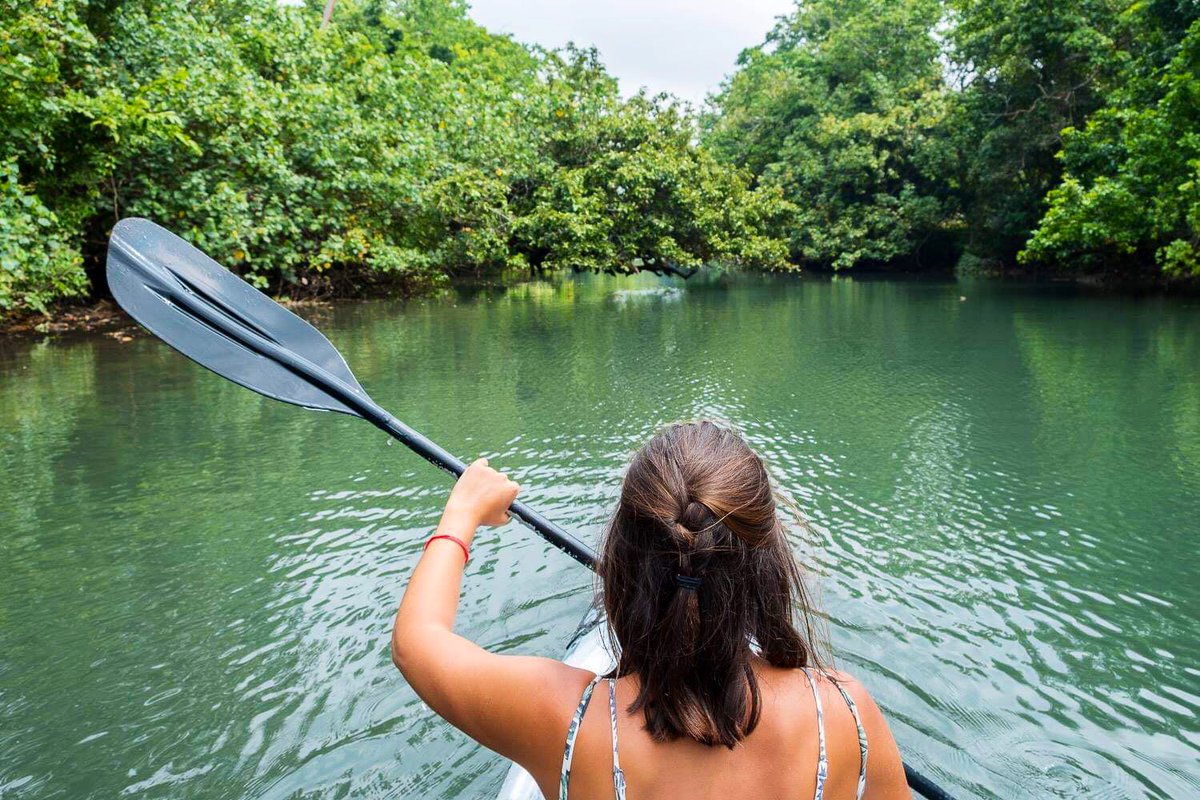 BuenosViajesAL's tweet photo. Libres comme sur un kayak 🛶

Des tonnes de rivières pratiquables et sauvages au VANUATU 👌
> https://t.co/yaXbsV1F4T

#VanuatuEcotours #DiscoverVanuatu https://t.co/zCFhOnGVq1