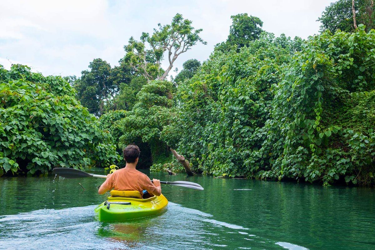 BuenosViajesAL's tweet photo. Libres comme sur un kayak 🛶

Des tonnes de rivières pratiquables et sauvages au VANUATU 👌
> https://t.co/yaXbsV1F4T

#VanuatuEcotours #DiscoverVanuatu https://t.co/zCFhOnGVq1