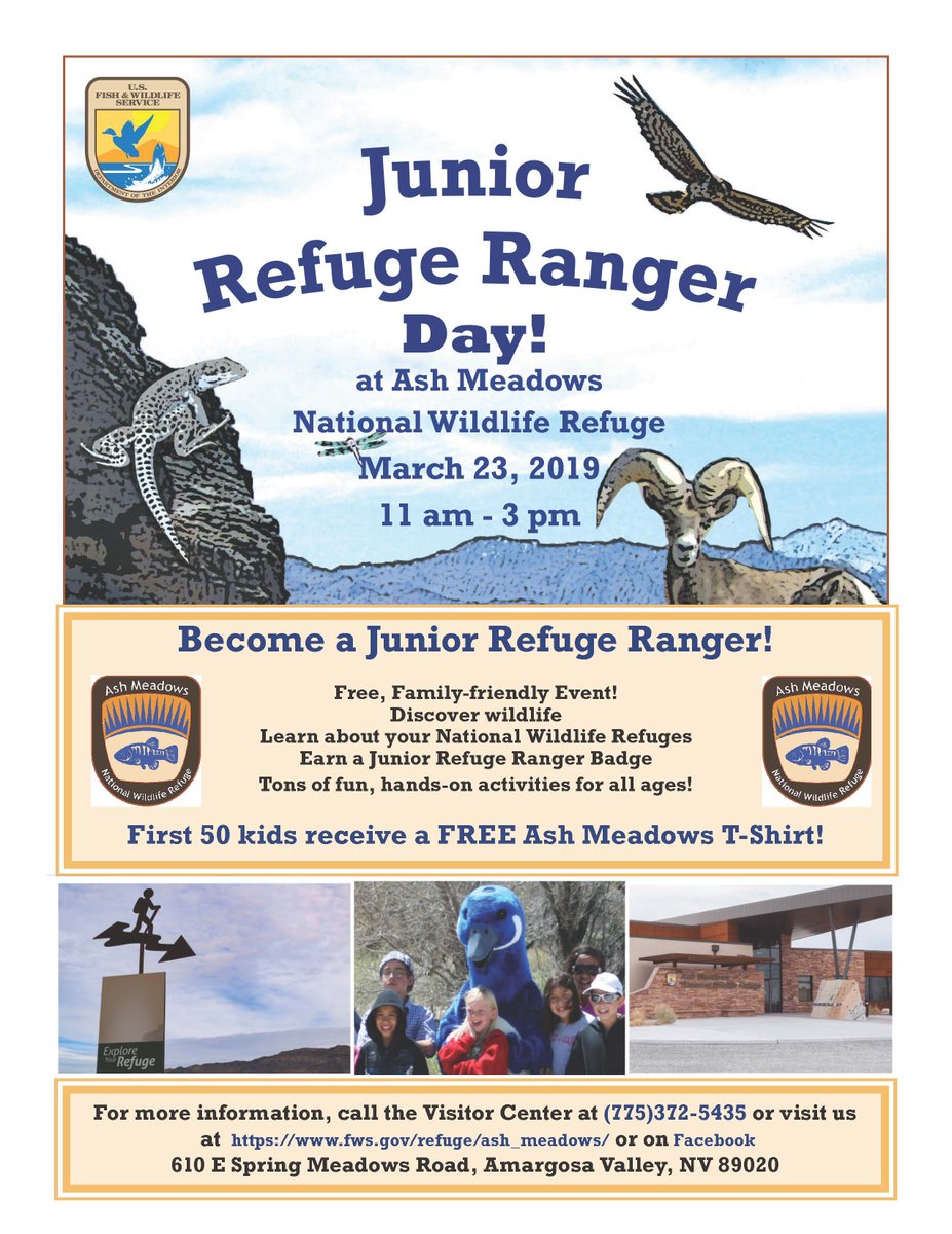 Laura Dearing Elem (@dearingdolphins) on Twitter photo 