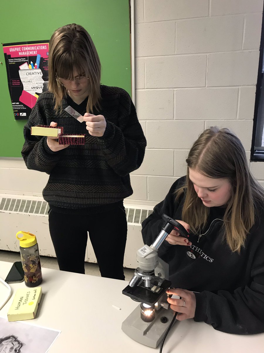 NAEC_LDSB's tweet photo. Photography class exploring microscope photography! Photo of the day by Elle #experientiallearning #microscopicimages @LimestoneDSB https://t.co/VHyFnAVIZ4