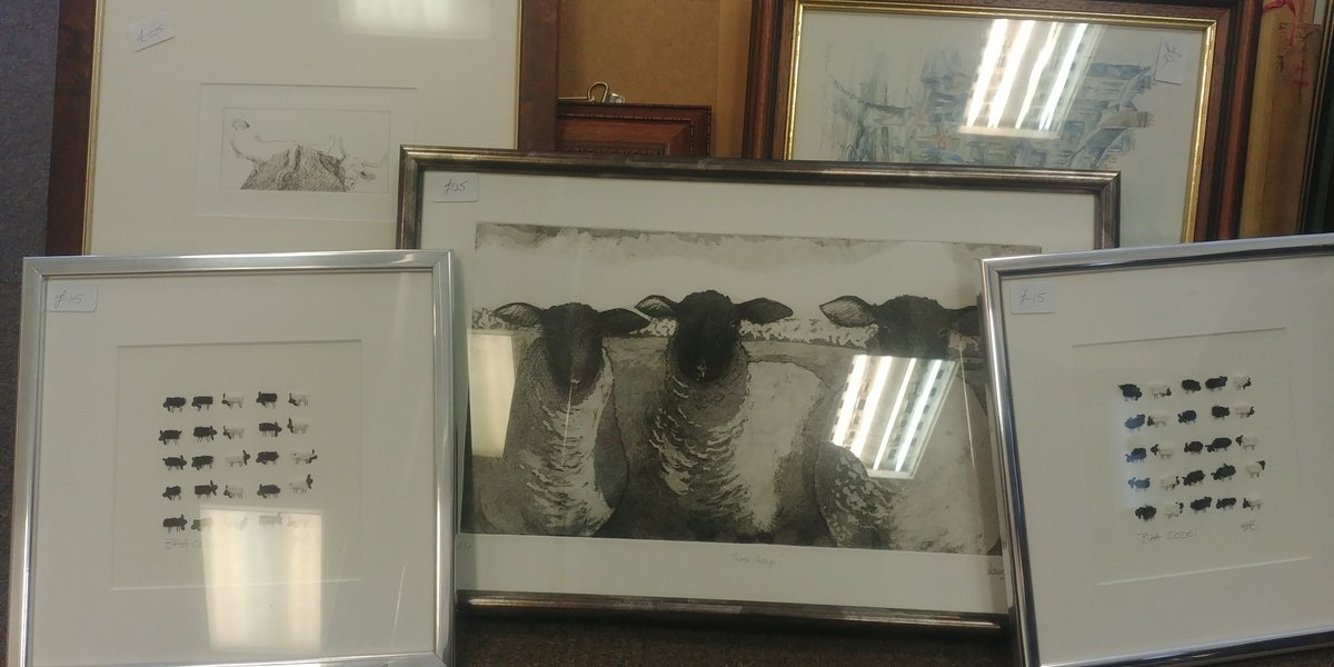 DorchesterArts's tweet photo. We're getting some fabulous donations in for our big picture sale this sunday #dorchesterarts including some rather fine farmyard animals. @TheMERL what do you think of our sheep? We don't have #dullcountrysidesnaps! #fundraising #charity #Dorset #Dorchester #artsale #whatson https://t.co/7rcIk0w83P