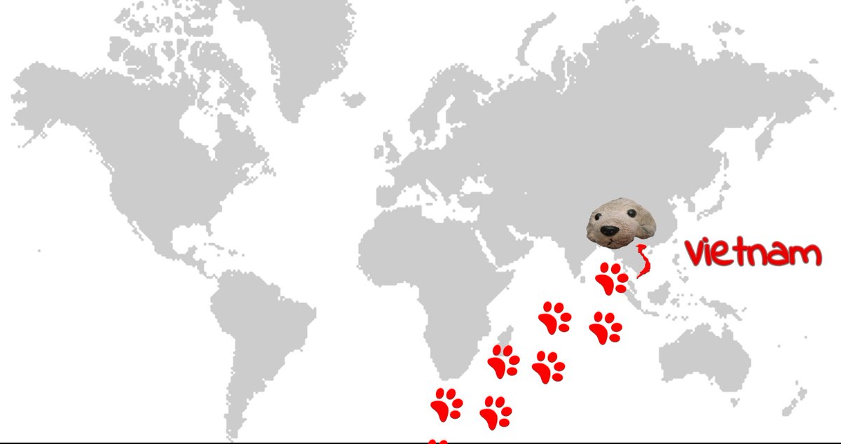 Ugmugg's tweet photo. I have started my teddy quest and its brought me all the way to Vietnam and im really nervous!😩 Read all about it in my latest Slog : https://t.co/6p5OKRZqUG https://t.co/4IlMOU3xHo