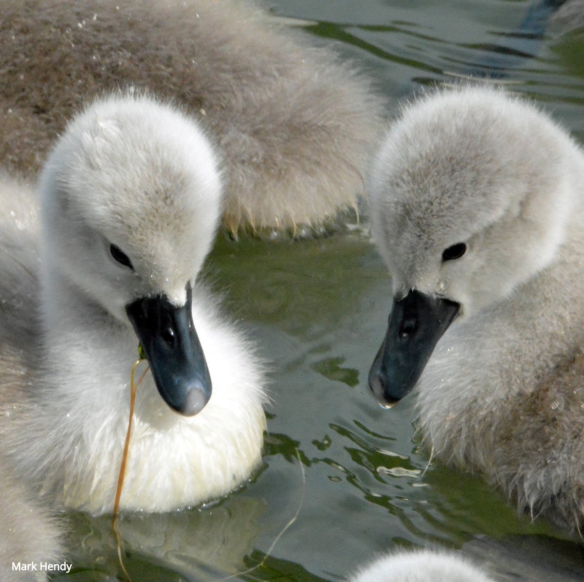 Canal & River Trust tweet media