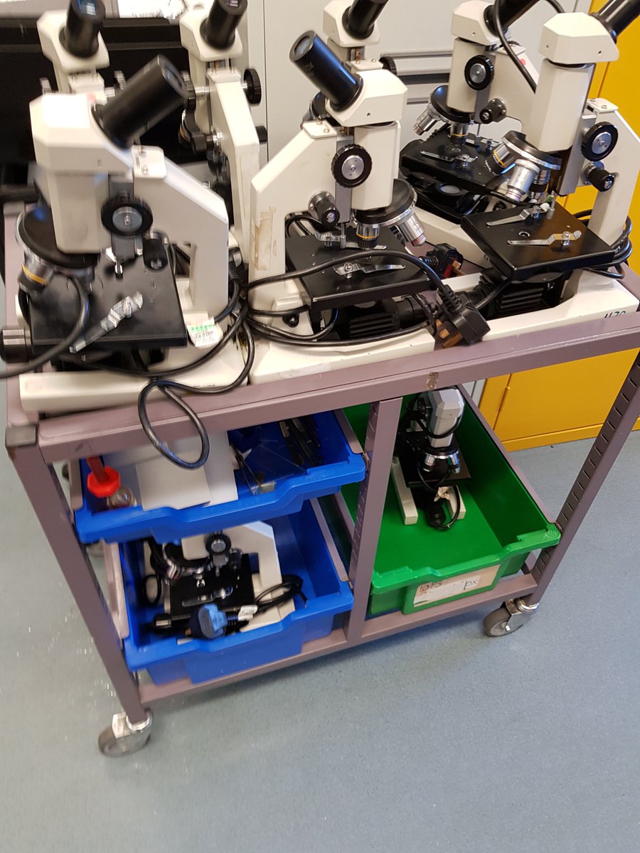 SharenCordy's tweet photo. #Gratnells #WhatsInMyTray #Techognition #OrchardScience
Just a small selection of today's work. Some done. Some to be resorted and work in progress. https://t.co/GWuz4HKoLr