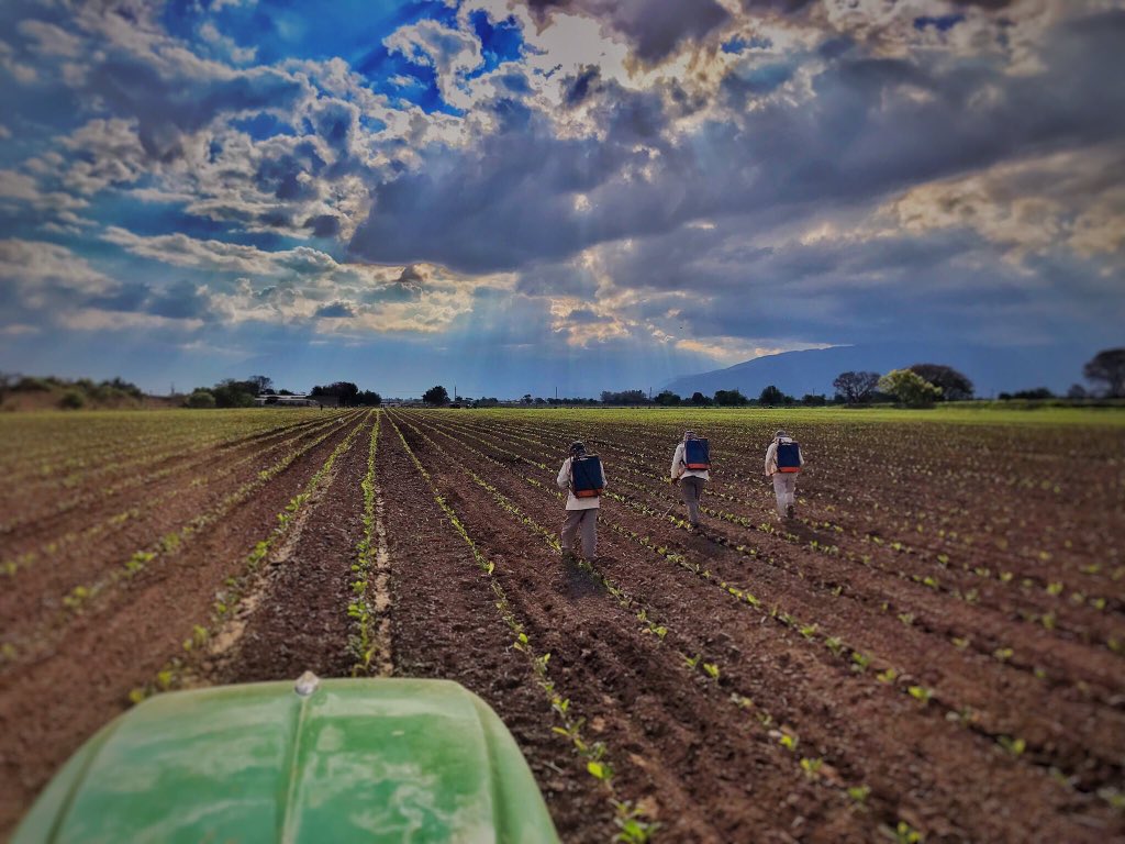 Hoy 7 de marzo se celebra el día del campo . Celebramos la importancia del campo en el bien social , ambiental y económico de la nación !! Hoy es el día de eso que nos da identidad y nos permitió ser una potencia a nivel mundial . Feliz día !!!