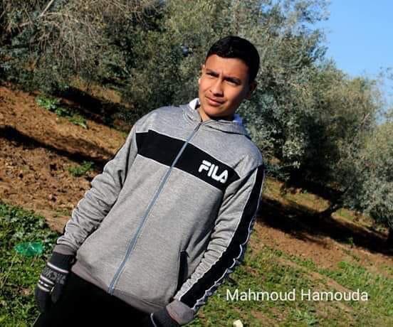 Palestine In All Languages tweet media