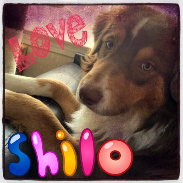 Go Follow Shilo On Insta