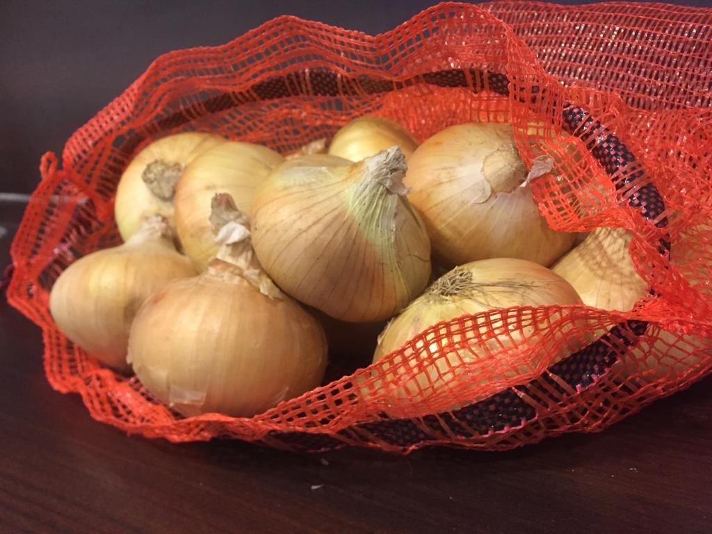 freelandbv's tweet photo. You look for some good organic / conventional yellow Onions ? You want to know what is possible ? Next week red onions as well !!
Give us a call. #freeland #onions #outdoorvegetables https://t.co/9rytHK0Ptc