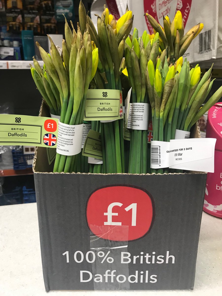 Have you got your tulips and daffs in yet? Best selling line in ⁦<a href="/NorrisStores87/">Norris Family Grocer</a>⁩ on the #isleof Wight #wesaynisa