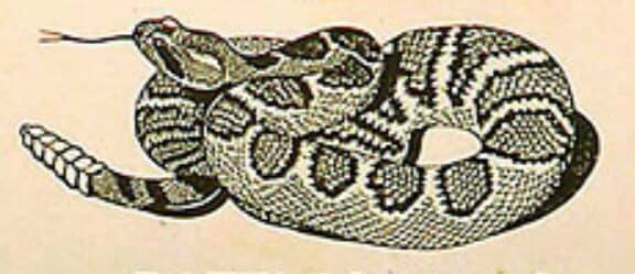 With MPs, academics, UK charities &amp; NGOs lining up to meet with the UK Vaping Industry Association (UKVIA) &amp; other Big Tobacco funded organisations, &amp; Phillip Morris International I'm reminded of this old Cherokee Legend that I stumbled across last week. The Boy &amp; The Rattlesnake