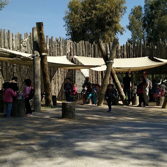 Field trip with Revi students ift.tt/2SKco6I