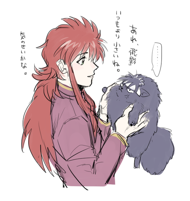ポメラニアン飛影 
