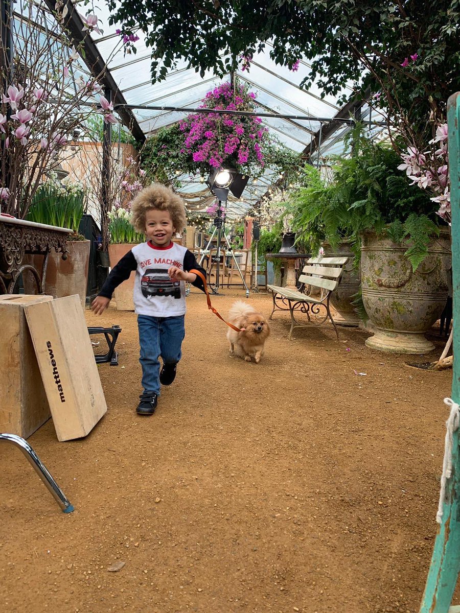 LittleMix's tweet photo. Hatchi and his best friend fo lifeeee. It’s your last chance to vote for Hatchi 💞 tweet #cutestpet #iheartawards #hatchi https://t.co/sfeQJ0nuPH
