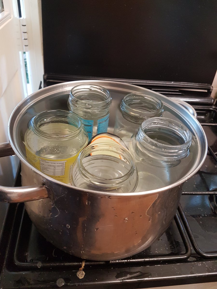 48PercentPreppr's tweet photo. Boiling my glass jars. 

#thingspreppersdo https://t.co/G0WO9zRfyl