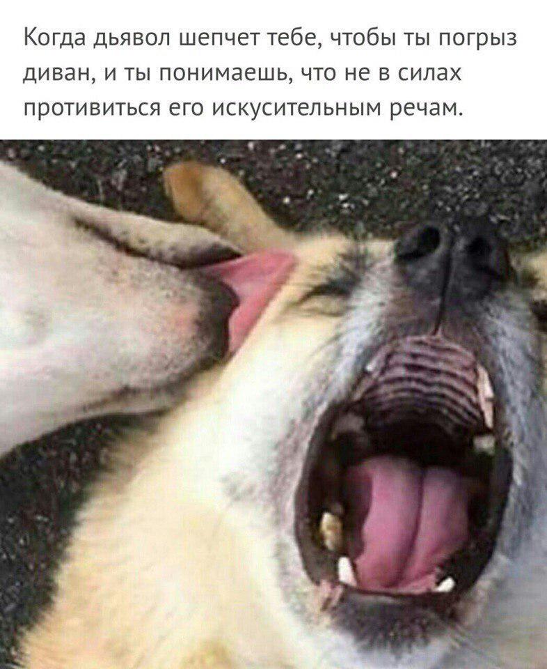 D1DMV5lWoAAFcd_.jpg:large