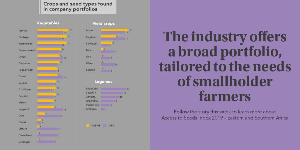 ATSIndex's tweet photo. #seedcompanies demonstrate tailored approaches to smallholders by offering a mix of hybrid &amp; open-pollinated varieties (OPVs). #smallholderfarmers often prefer the latter as they lend themselves to on-farm seed saving: https://t.co/ZO0DiPblr8 
#ATSIndex2019 #FoodSecurity #SDG2 https://t.co/oYL6YaYu47