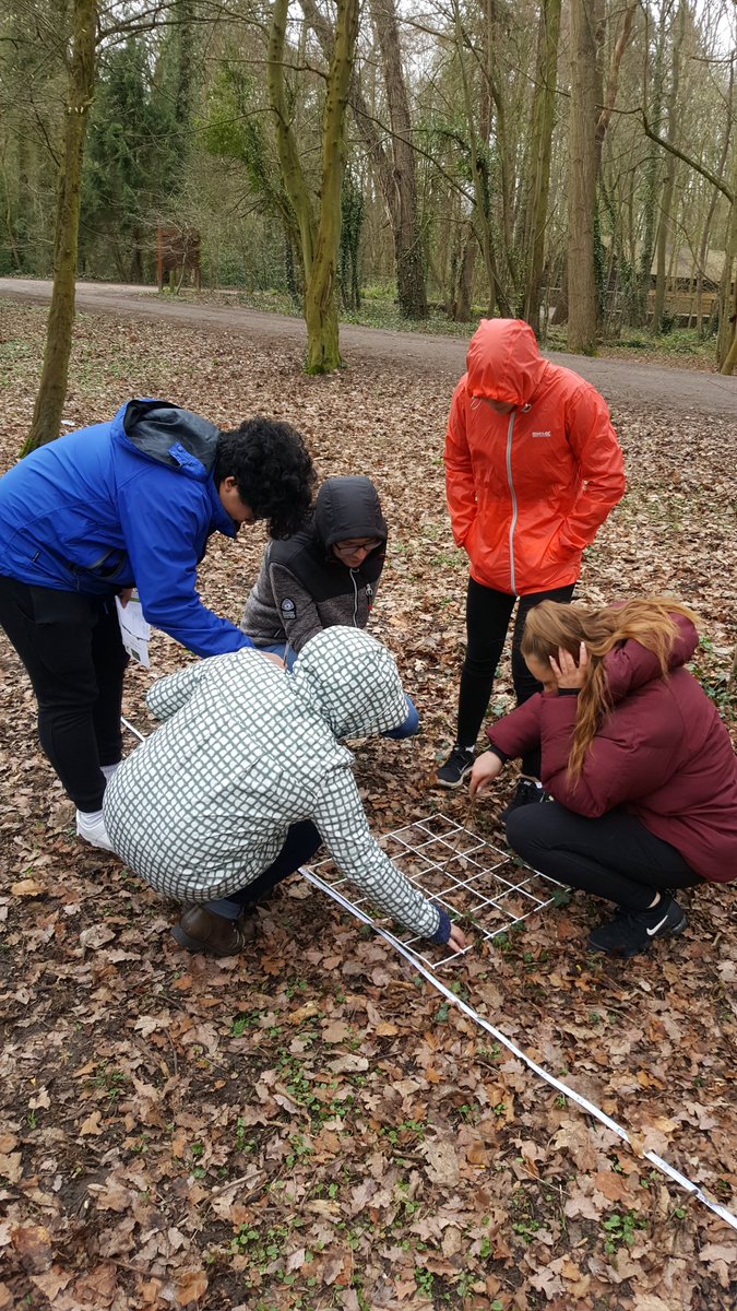 ScienceNCS's tweet photo. 6th Form Biology. Belt transect sampling at Coombe Abbey! https://t.co/RYkDxPZ56h