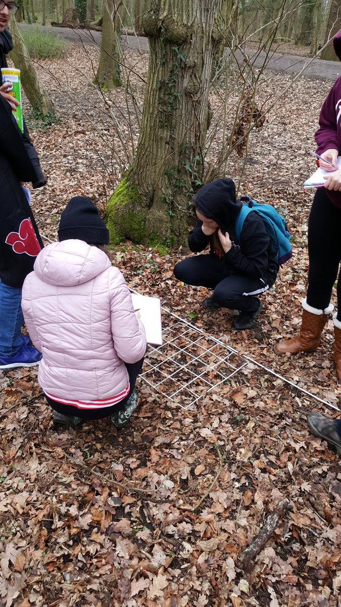ScienceNCS's tweet photo. 6th Form Biology. Belt transect sampling at Coombe Abbey! https://t.co/RYkDxPZ56h