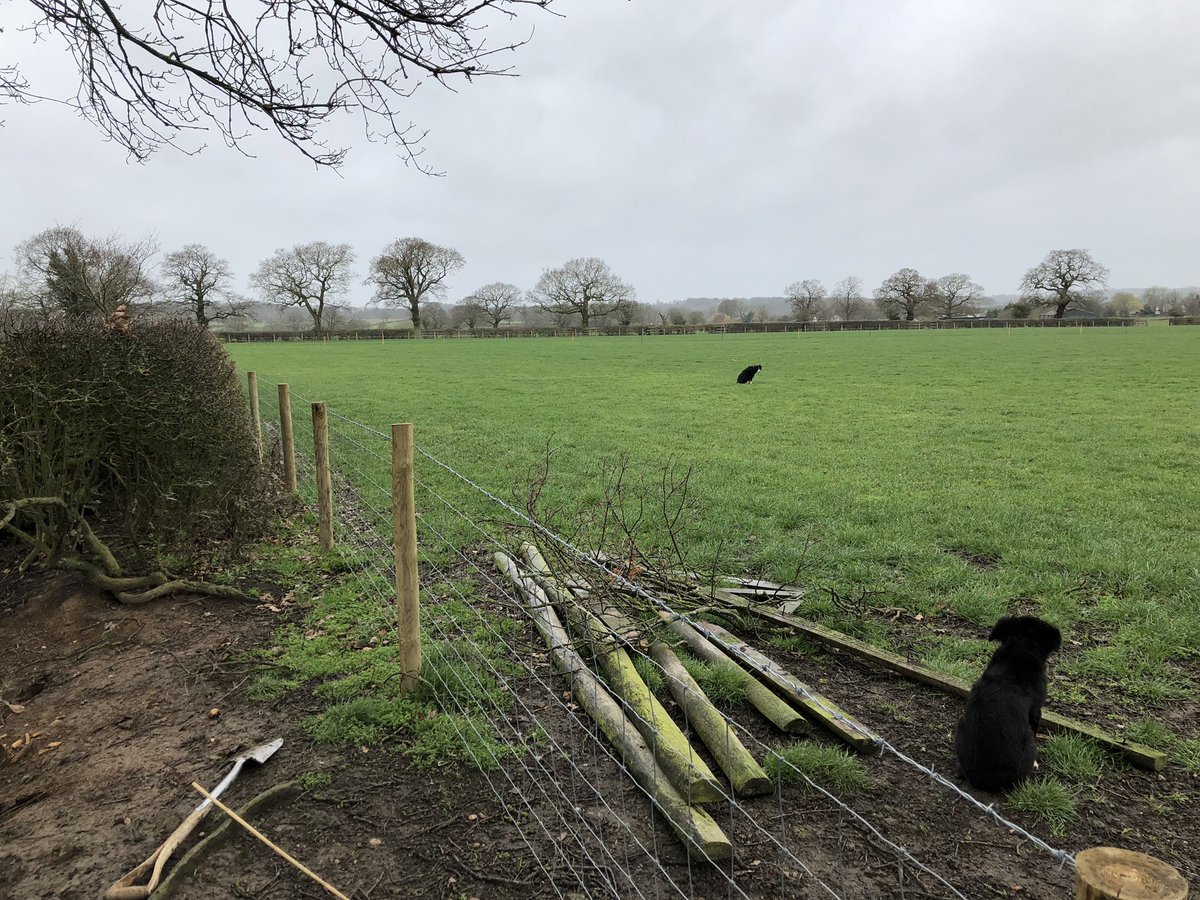 George Thompson tweet media