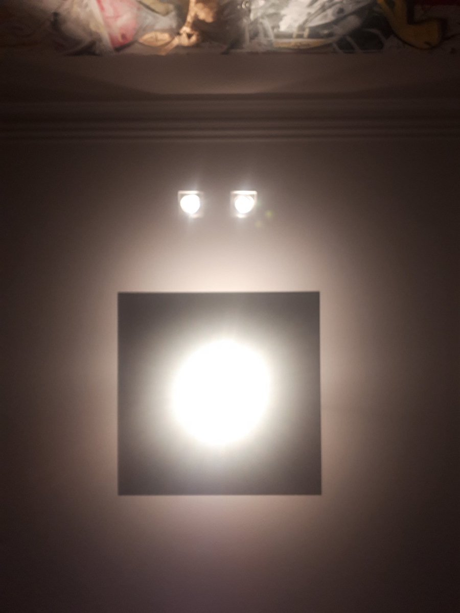 Pigsyinspace's tweet photo. Look up! #Ceilingselfie with a #PIGSY artwork https://t.co/yq4swqPXDm