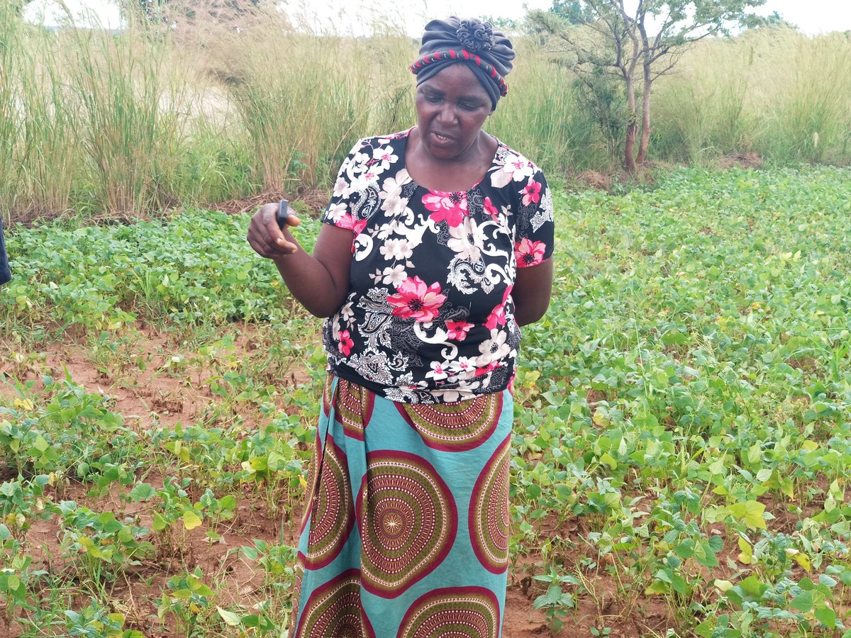 wchilufya's tweet photo. Tomorrow is #WomensDay2019  one of the things we can do is to recognise  the role that women are playing in #Agriculture like #AmaiVero in #JayVillage of #Kanakatapa #Chongwe @Mwandwe16 @FrankMechielsen https://t.co/yQITDgaAmY