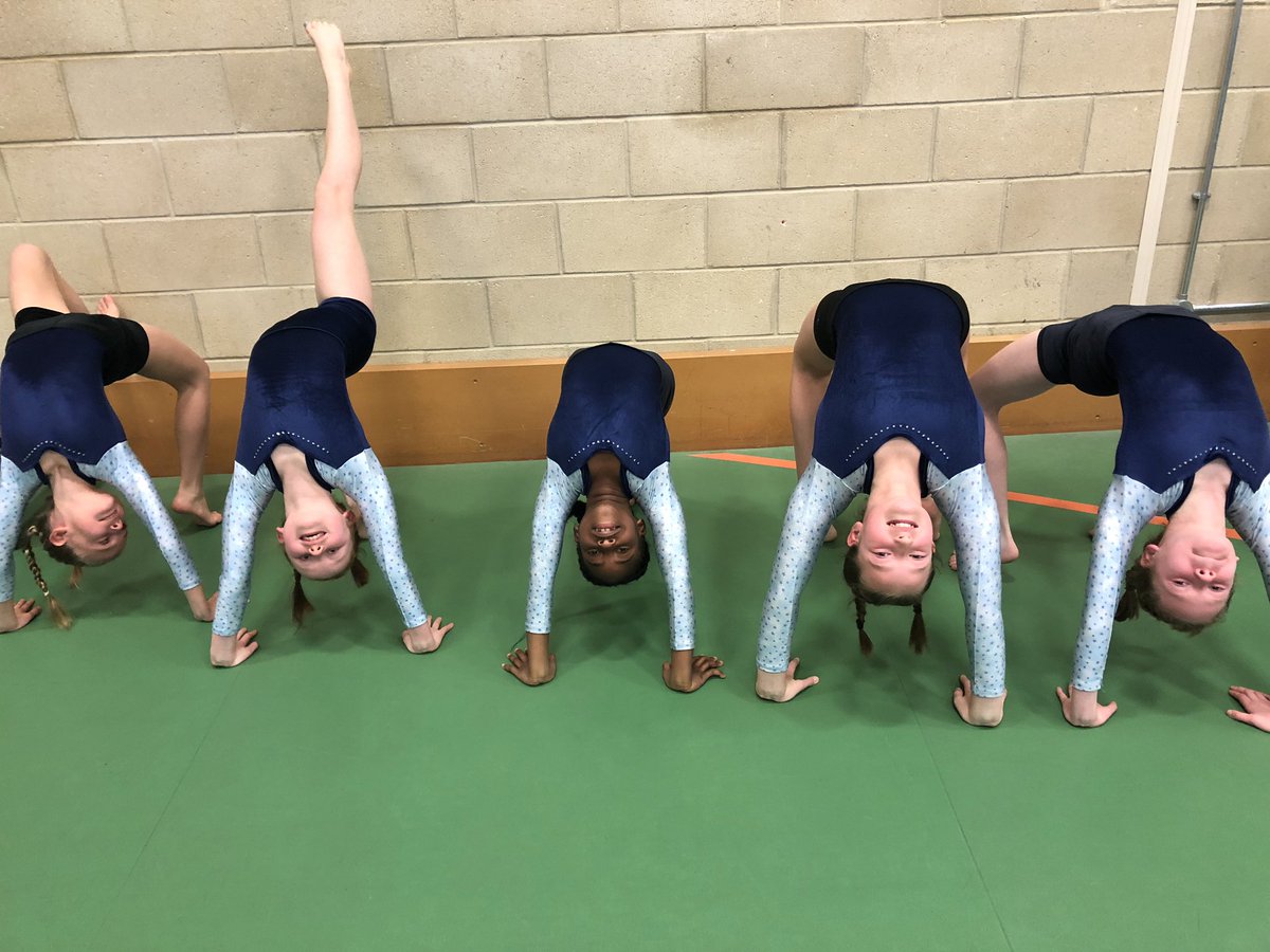 NHS_Sport's tweet image. Our gymnasts posing #redfaces but all enjoying the experience bring on the floor routines @NorthamptonHigh