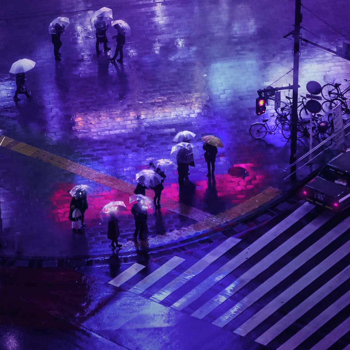 A rainy view overlooking a crossing in Shibuya, Tokyo. Silhouettes and umbrellas in the purple rain.