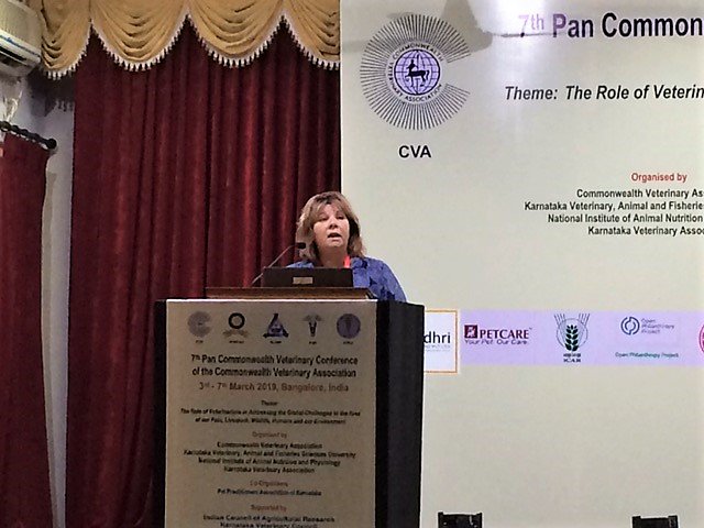 TheBrooke's tweet photo. We are thrilled to hear our former Trustee @profnatalie remind the audience at #PCVC7 that #welfare is not only physical but also emotional; it’s not only about the absence of pain and discomfort but also about a positive mental state. https://t.co/rfZMR0obSv