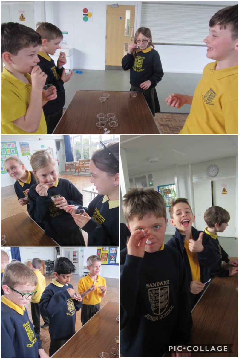 SandwichJunior's tweet image. Y4 explores different sources of protein as part of their Eatwell Plate. Their tasting menu included sticky sausage, tuna &amp;amp; lentil bake, butter beans &amp;amp; hummus - lots of different textures. #foodgroups