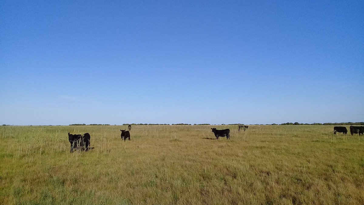 7 de marzo: Día del Campo.