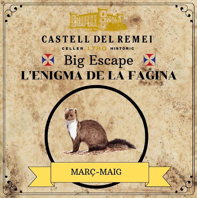 Si te interesa el #BigScape nos veremos en @castelldelremei #FincaHistorica #vinshistorics @docostersdelsegre @RVLleida