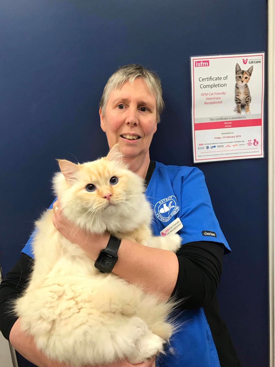HaygateV's tweet photo. Congratulations to Norma, our receptionist at the Muxton surgery, who has now qualified as a Cat Friendly Receptionist!
Here she is with Raggu having a cat friendly cuddle 😻

#CatFriendlyClinic #Muxton #Vets #Cats https://t.co/EavoRBsAPc