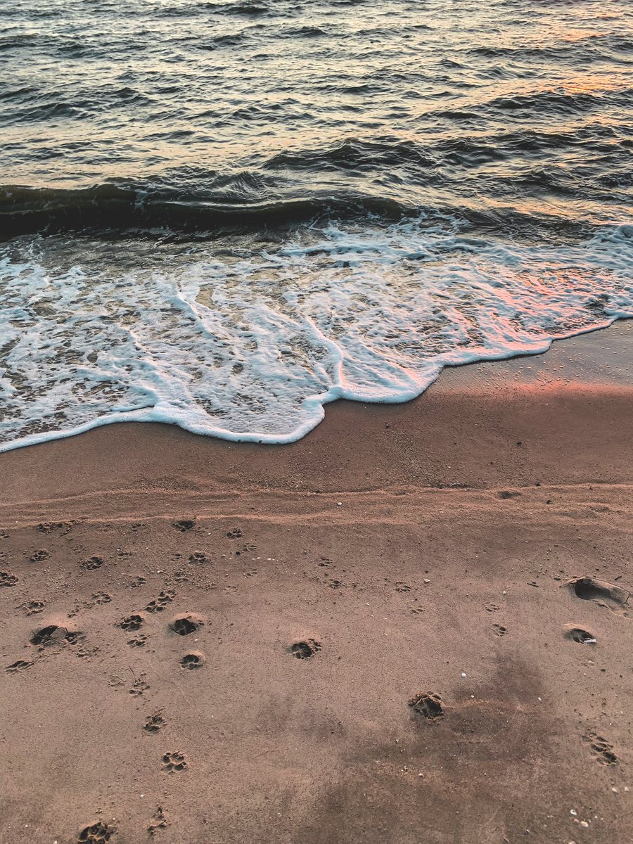 Psolemn's tweet photo. ร้าน Sea salt บางแสนครับ 

ภาพทั้งหมดถ่ายด้วย iphone Xs max ครับ https://t.co/dz2dbjIPKB