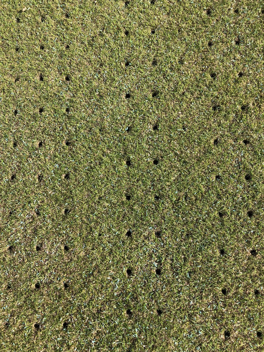 rmuzyk's tweet photo. Only few weeks left over to the new lawn bowling season. Thank you @ReeltechToro for service and set of tines today. 🌱⚫️⚪️ https://t.co/jscpOYiNWP