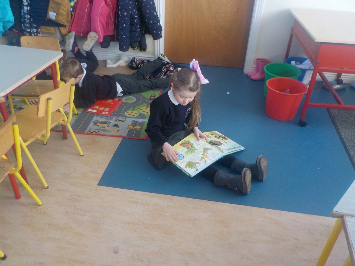 MsNoonansClass's tweet photo. @WorldBookDayIE Celebrating #WorldBookDay2019 in Northampton NS, Kinvara @orlamchale  @shanemcdonagh https://t.co/RF43dDB0Pv