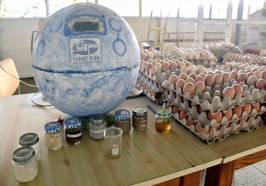 OrfCojedes's tweet photo. Proyecto genético avícola incrementara soberanía alimentaria.@NicolasMaduro @MargaudPSUV @somos-agricola @AlemanCBT @RivasFFM @yoyotepsuv https://t.co/P9bhO9dxhq