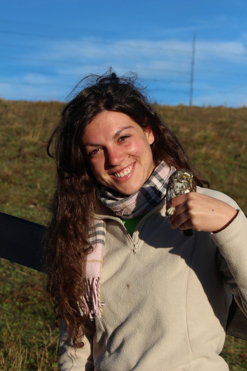 luomus_zoology's tweet photo. . @luomus #Monitoringteam #womensday-introduction:
Veronica Nanni @veronanni works as an Erasmus student with Finnish mountain #bird data. She studies effects of #climatechange on #waders nesting in Northern Finland and especially their potential altitudinal shifts upwards. https://t.co/csQWiiGn4p