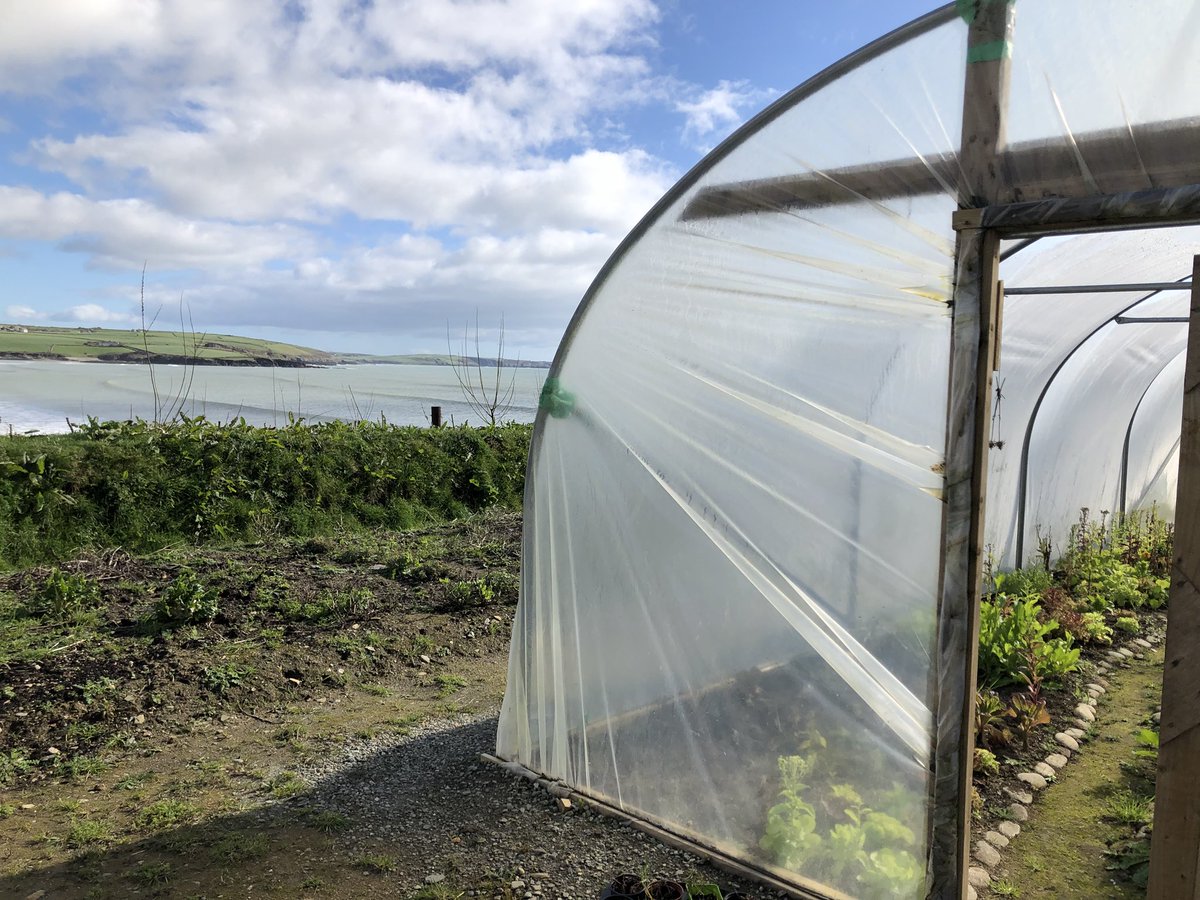 KevAherneSage's tweet photo. This has to be one of the best kitchen garden locations in Ireland 
#Chefsdream @Dunmorehouse https://t.co/x2usnUFBGx