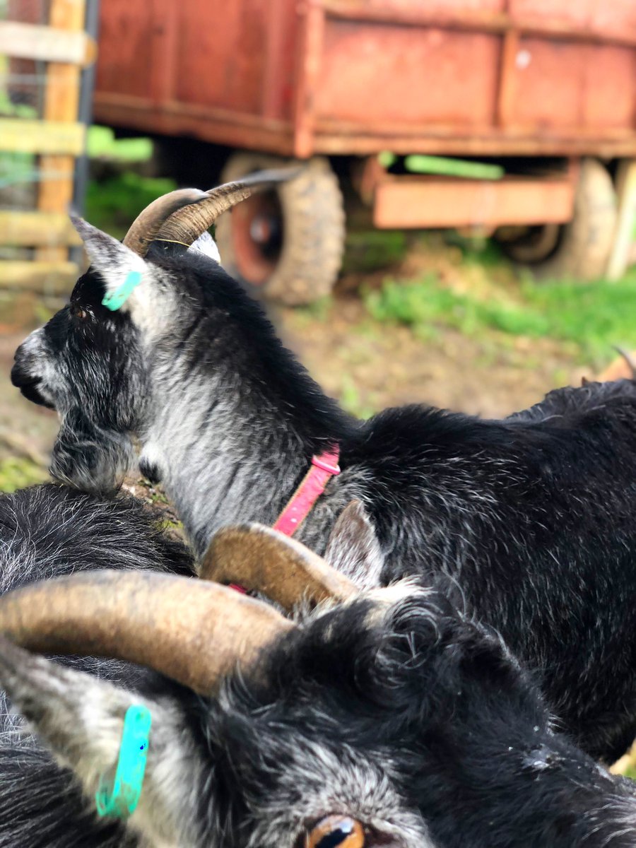 Steve James Ltd on Twitter "The other new addition over at Eastfield